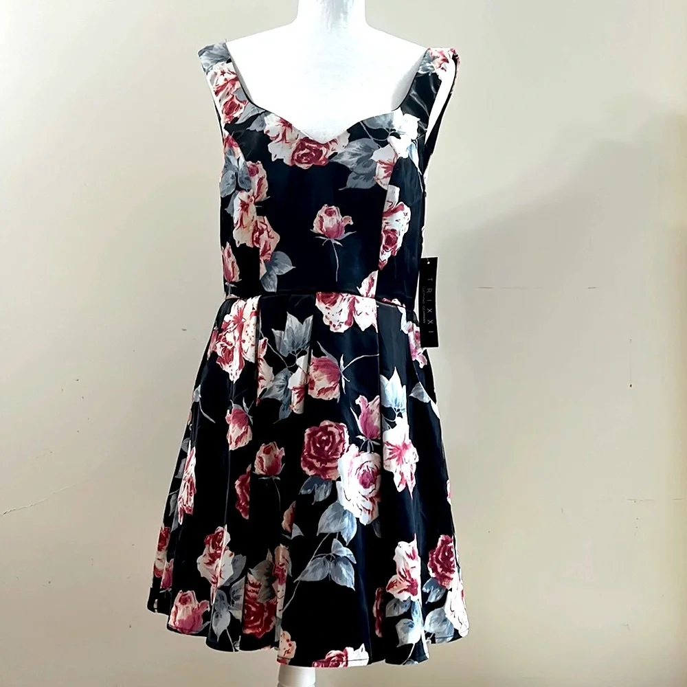 Trixxi Black Multicolor Floral Printed Pleated Dress